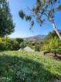 1913 Verdugo Loma Drive - Photo 47