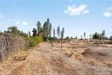 8092 Skyway - Photo 6