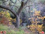 996 Old Topanga - Photo 4
