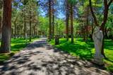 15733 Juniper Peak Road - Photo 14