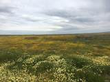 0 Buffalo - C - Photo 2
