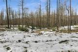 0 Bald Rock Road - Photo 16