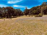 34221 Robinson Canyon Road - Photo 5