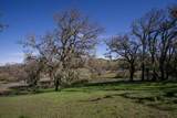 34221 Robinson Canyon Road - Photo 6