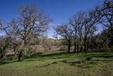 34221 Robinson Canyon Road - Photo 7
