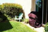6677 Paseo Del Norte - Photo 23