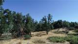 5325 Schafer Road - Photo 1