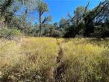 5325 Schafer Road - Photo 5