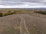 2135 Live Oak Rd - Photo 68