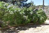 5220 Coleridge Road - Photo 5
