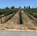 0 Valle Toscana Ct - Photo 45