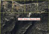 31557 Ahern Ranch Rd - Photo 5