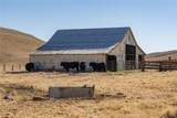 2500 Shandon - Photo 22