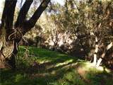 5495 Encino Avenue - Photo 5