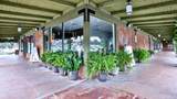 31921 Camino Capistrano - Photo 6