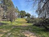 4585 Buckingham Mountain Road - Photo 10