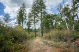 4023 Kakini Road - Photo 15