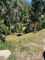 24580 Bernard Drive - Photo 3