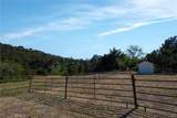 1680 Los Berros Road - Photo 31