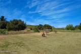 1680 Los Berros Road - Photo 34