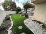 30433 Via Rivera - Photo 13