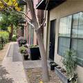 563 Maple Avenue - Photo 3