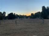 28822 Bouquet Canyon Road - Photo 4