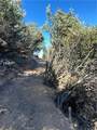 37342 Pisgah Peak Road - Photo 3