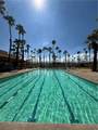 38613 Wisteria Drive - Photo 43