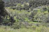 190 Cachagua Road - Photo 4