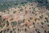 0 39.91 AC Road 400 - Photo 1
