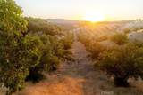 6255 Peachy Canyon Road - Photo 4
