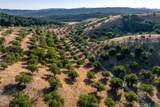 6255 Peachy Canyon Road - Photo 5
