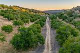 6255 Peachy Canyon Road - Photo 7