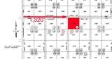 12390 Caliente Trail - Photo 4