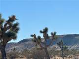 4726 Paradise View Road - Photo 11
