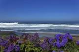 101 Coast Boulevard - Photo 22