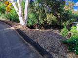 0 Live Oak Canyon Road - Photo 1