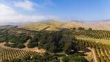 3515 Turri Road - Photo 71