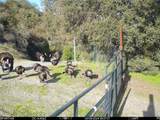 70598 Jolon Road - Photo 31