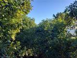 43520 Calle Colina - Photo 9