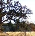 17065 Fawn Lane - Photo 7