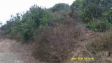 16798 Hillside Drive - Photo 10
