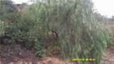 16798 Hillside Drive - Photo 12
