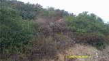 16798 Hillside Drive - Photo 13