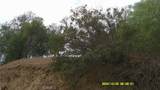 16798 Hillside Drive - Photo 15