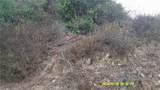 16798 Hillside Drive - Photo 9