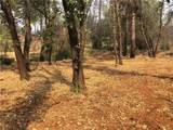 5519 Harrison - Photo 4