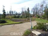 2336 Stearns Road - Photo 2