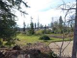 2336 Stearns Road - Photo 7